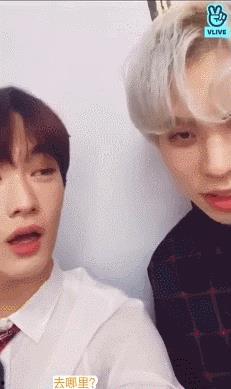 瞳孔小鲜肉在线视频合集,青春活力在线视频合集精选
